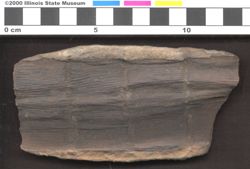 Small image of specimen