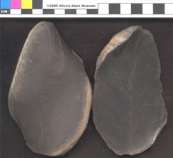 Small image of specimen
