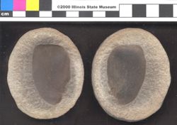 Small image of specimen
