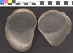 Small image of specimen