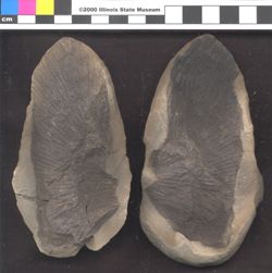 Small image of specimen