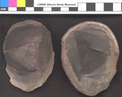 Small image of specimen