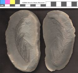 Small image of specimen