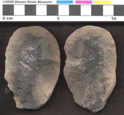Small image of specimen