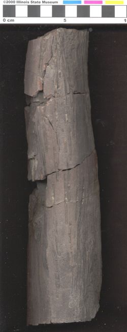 Small image of specimen
