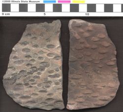 Small image of specimen