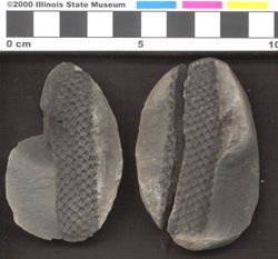 Small image of specimen