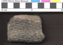 Small image of specimen