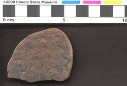 Small image of specimen