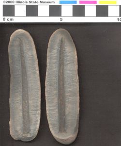 Small image of specimen