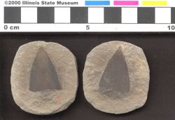 Small image of specimen