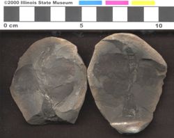 Small image of specimen