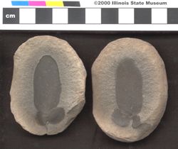 Small image of specimen
