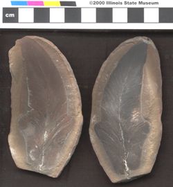 Small image of specimen