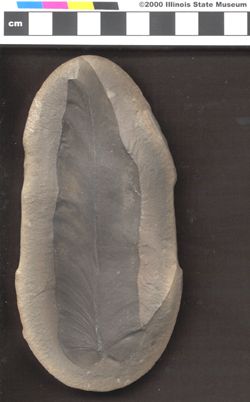 Small image of specimen