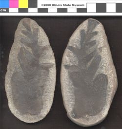 Small image of specimen