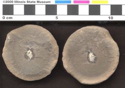 Small image of specimen