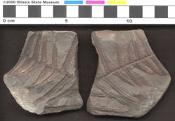 Small image of specimen