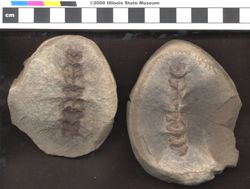 Small image of specimen