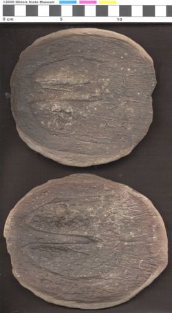 Small image of specimen