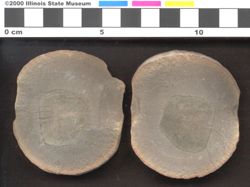 Small image of specimen