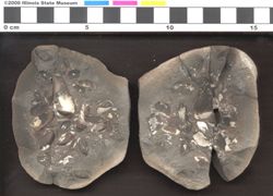 Small image of specimen