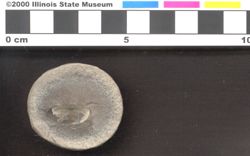 Small image of specimen