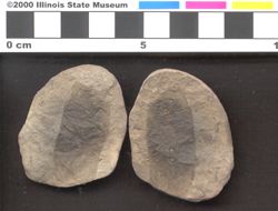 Small image of specimen