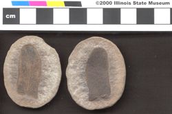 Small image of specimen