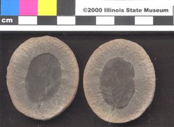 Small image of specimen