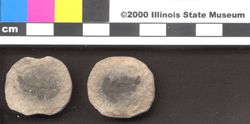Small image of specimen