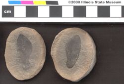 Small image of specimen