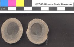Small image of specimen