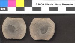 Small image of specimen