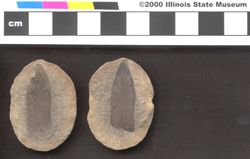 Small image of specimen