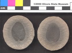 Small image of specimen