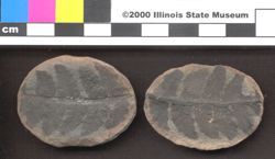 Small image of specimen