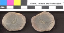 Small image of specimen