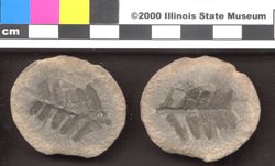 Small image of specimen