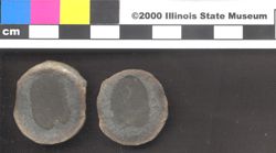 Small image of specimen