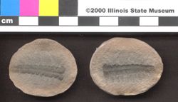 Small image of specimen