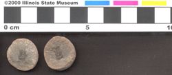 Small image of specimen