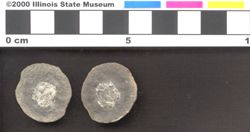Small image of specimen