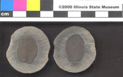 Small image of specimen