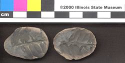 Small image of specimen