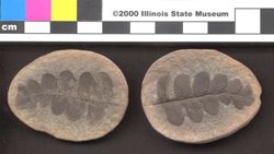 Small image of specimen