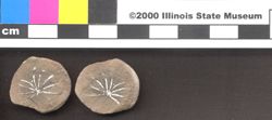 Small image of specimen