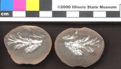 Small image of specimen