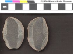 Small image of specimen