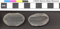 Small image of specimen